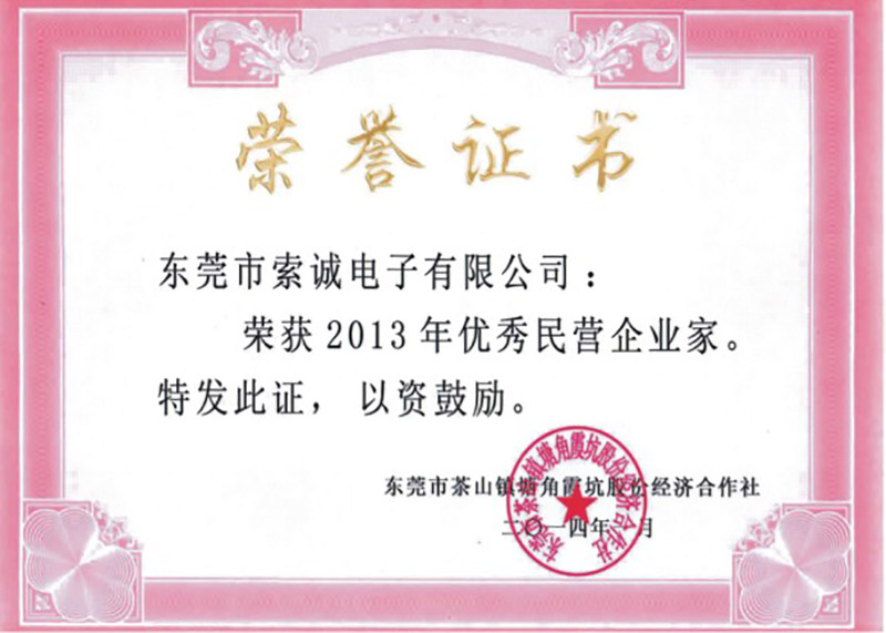 2013年優(yōu)秀民營(yíng)企業(yè)家
